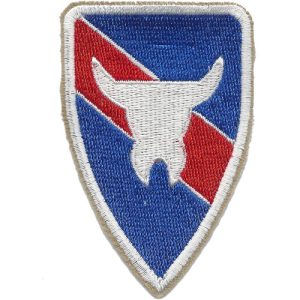 The 163rd Infantry Regiment Patch