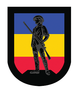 The 175th Regiment RTI Color Patch