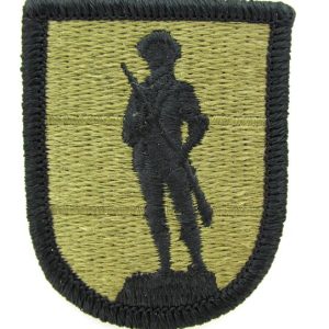 175th Regiment RTI Patch Subdued