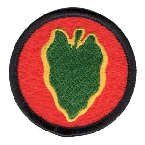 24th Infantry Division Patch