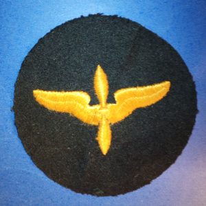 ORIGINAL WWII US Army Air Force Black Cadet Patch