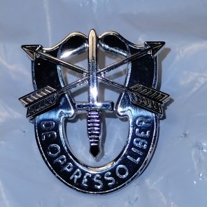 Unit Crest Insignia 1st Special Forces Brigade