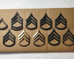 Group Of 10 BDU Era Pin On Rank. PFC, Staff Sergeant, Sergeant First Class Used