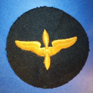 ORIGINAL WWII US Army Air Force Black Cadet Patch