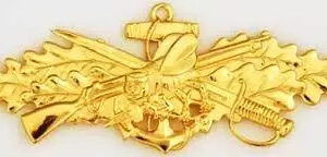 US Navy SeaBee Officer Badge Insignia